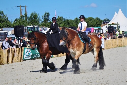 Terres en Fête 2022