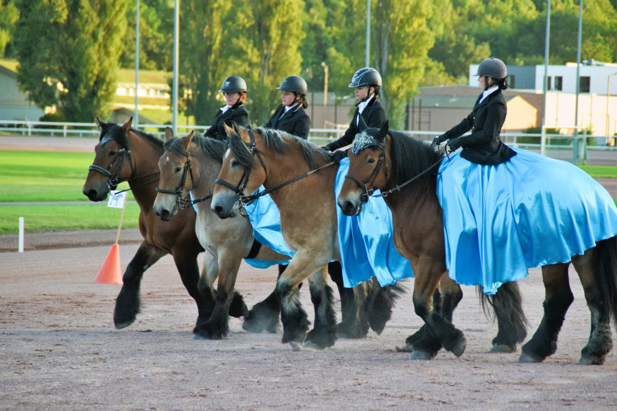 Animations à l'Hippodrome d'Amiens - Route du Poisson 2022