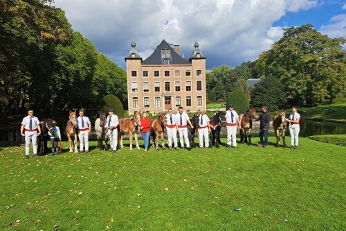 Championnat Européens des Poulains de Trait