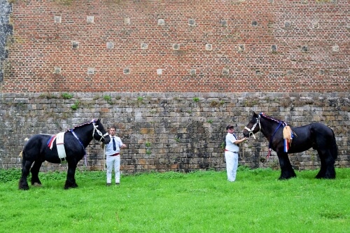 Résultats du 108ème Concours National des Mâles Trait du Nord
