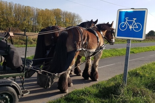 Balayage des pistes cyclables du Département du Nord