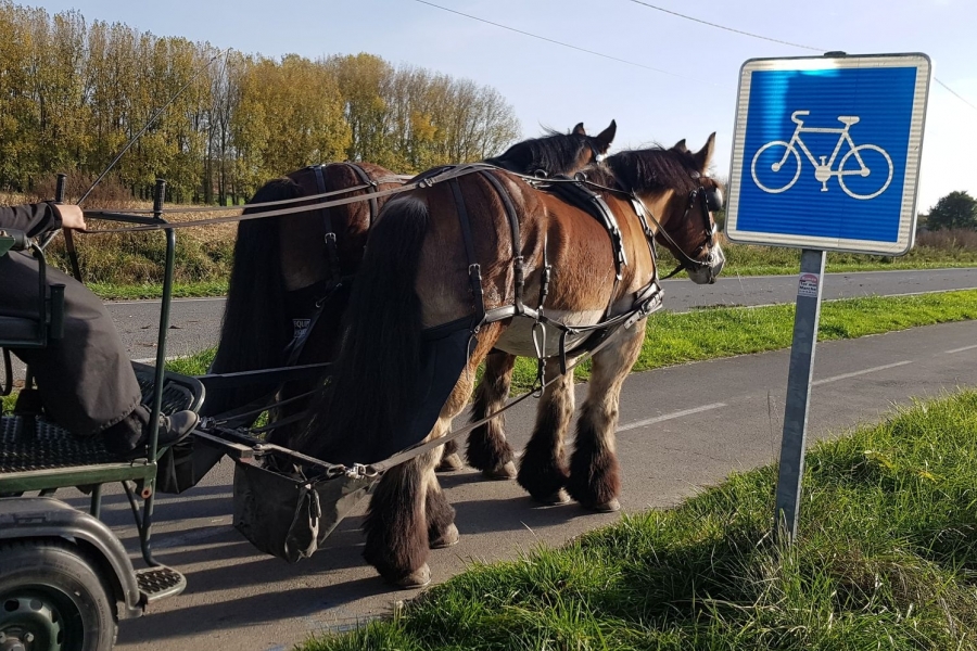 Balayage des pistes cyclables du Département du Nord