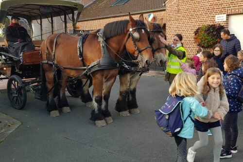 Ramassage scolaire à Genech
