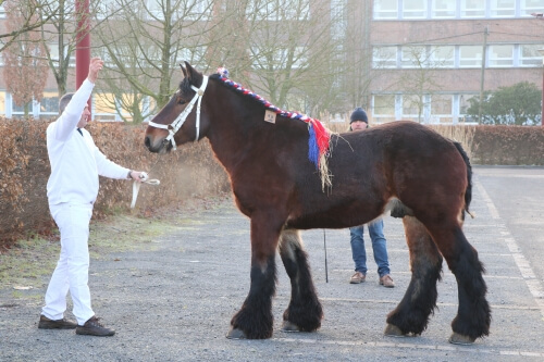 Marque complémentaire 2023