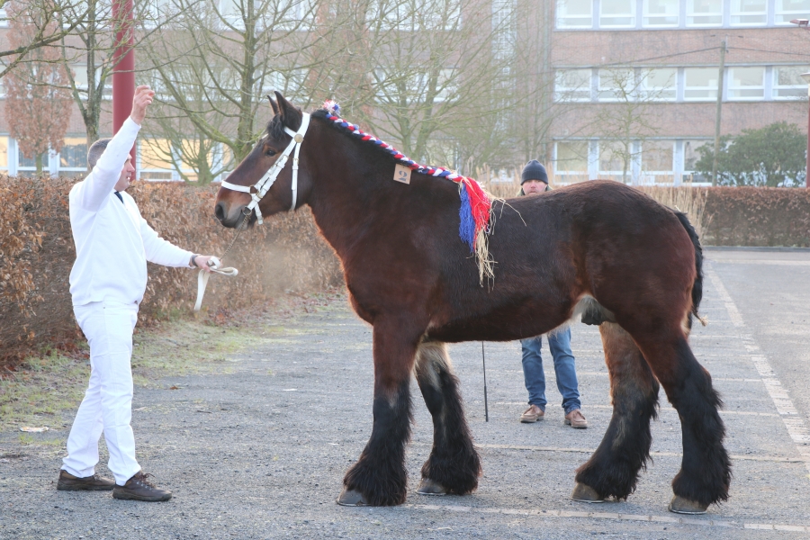 Marque complémentaire 2023