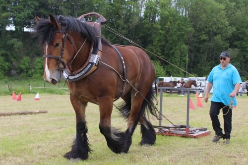 Saint'Hilairoises-2023 (59)