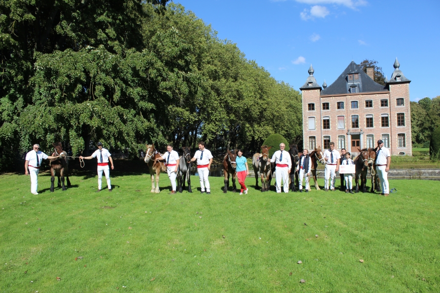 Championnat Européens des Poulains de Trait